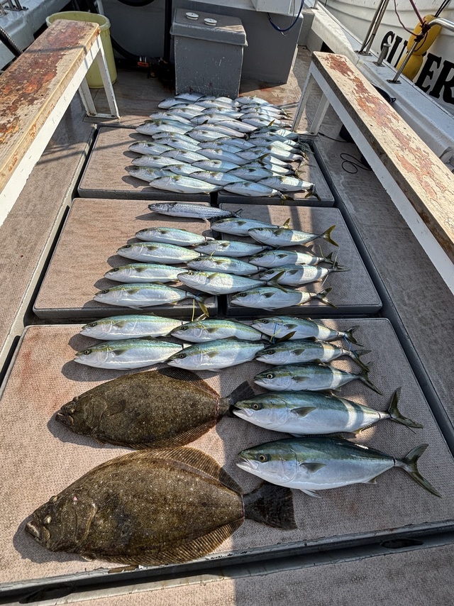 ブリ・ハマチ(ブリ)・サワラ