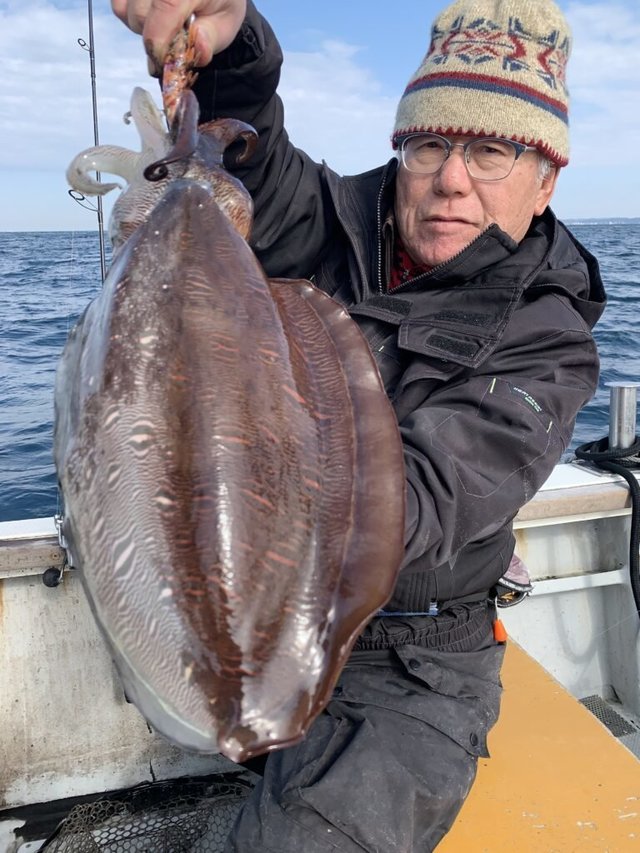 モンゴウイカ(カミナリイカ)