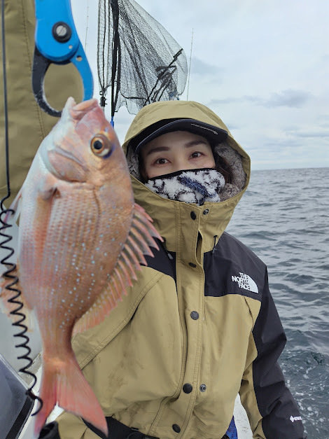 チャリコ(マダイ)