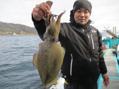 モンゴウイカ(カミナリイカ)