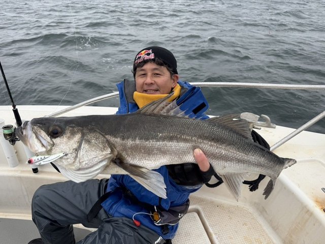 シーバス(スズキ)