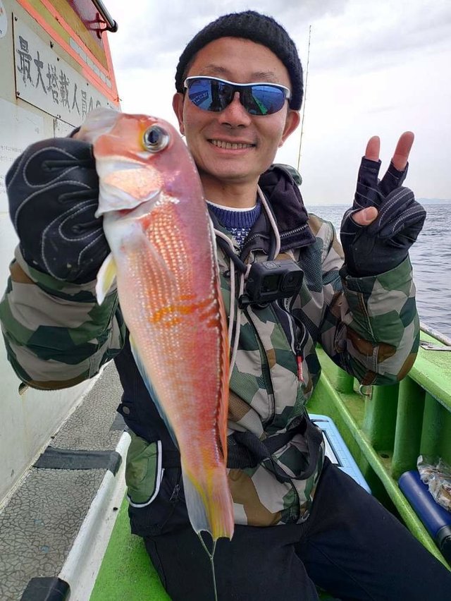 アマダイ(アカアマダイ)