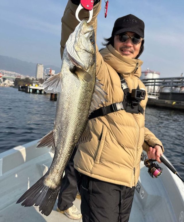 シーバス(スズキ)