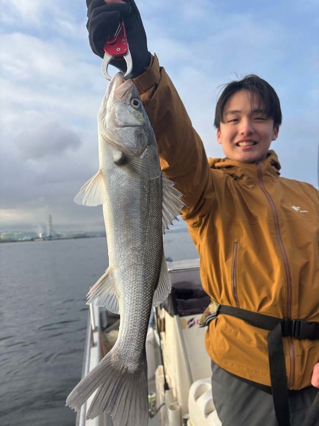 シーバス(スズキ)