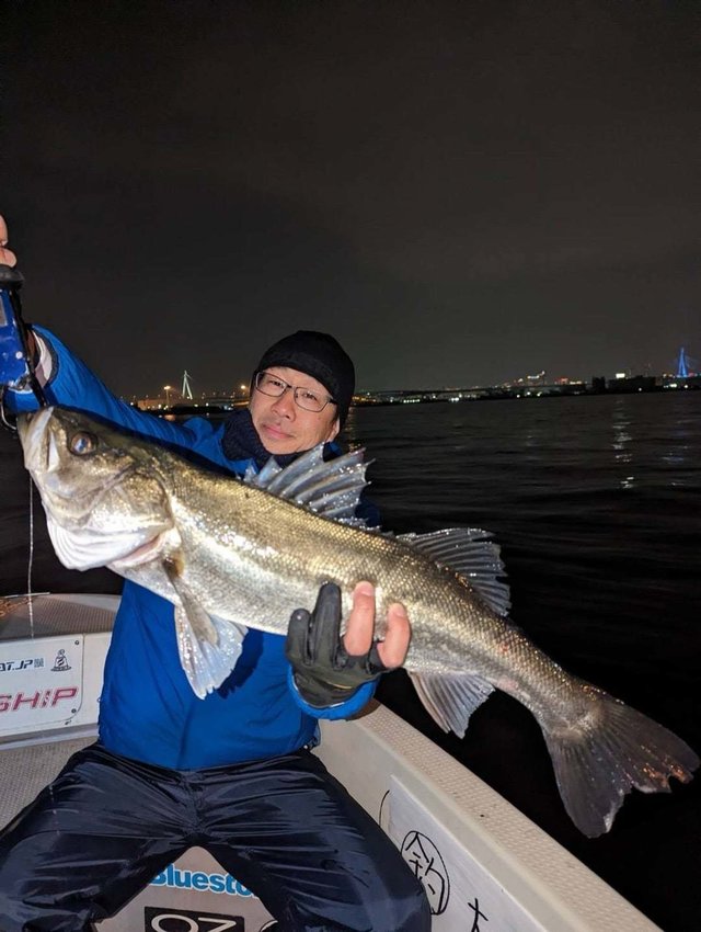 シーバス(スズキ)