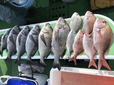 マダイ・チダイ・クロダイ・ヘダイ