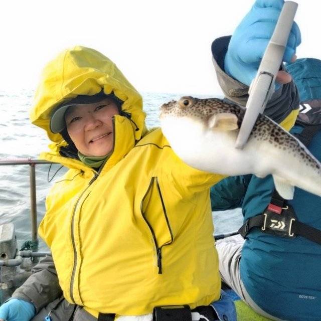 フグ(ショウサイフグ)