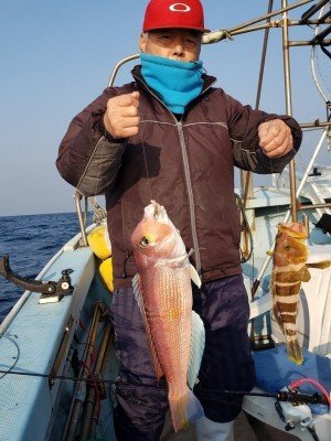 アマダイ(アカアマダイ)