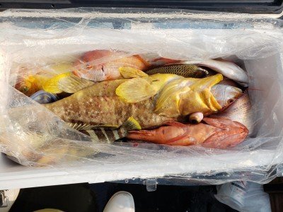 タカバ(アオハタ)・アマダイ(アカアマダイ)