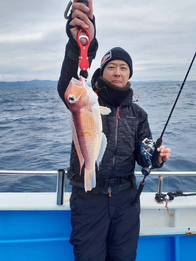 アマダイ(アカアマダイ)