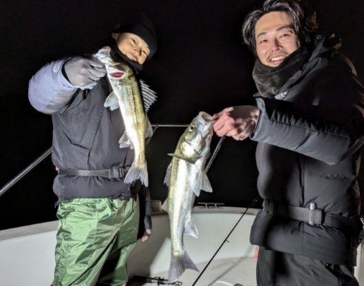 シーバス(スズキ)