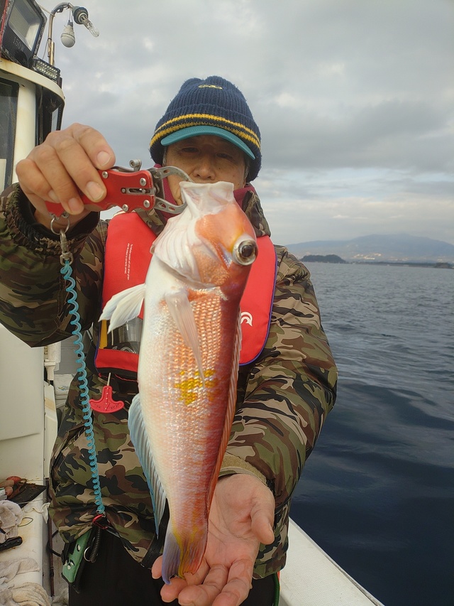 アマダイ(アカアマダイ)