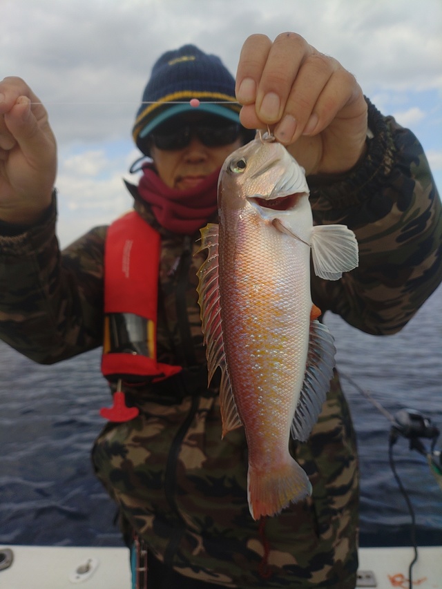 アマダイ(アカアマダイ)