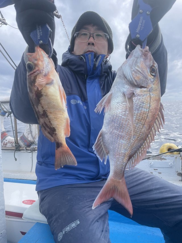 マダイ・メバル