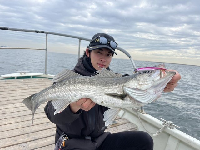 シーバス(スズキ)