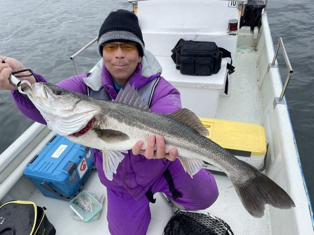 シーバス(スズキ)