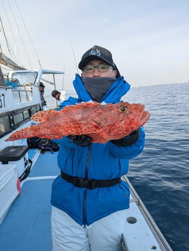 カンコ(ウッカリカサゴ)