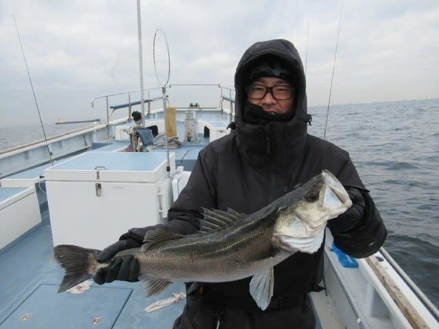 シーバス(スズキ)