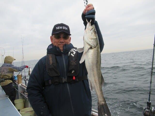 シーバス(スズキ)