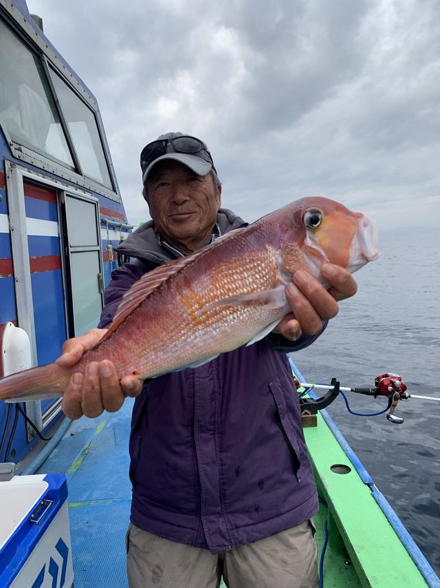 アマダイ(アカアマダイ)