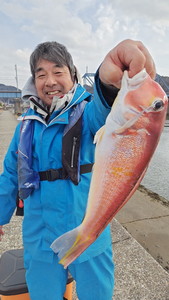 アマダイ(アカアマダイ)