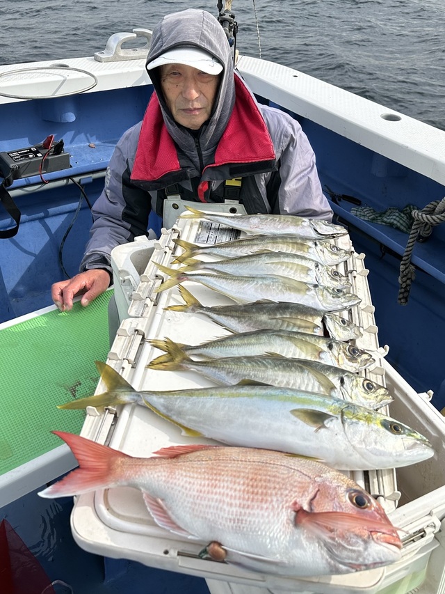 マダイ・イナダ(ブリ)