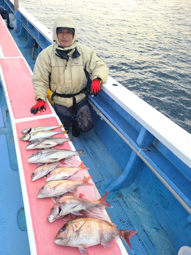 マダイ・クロダイ・マアジ