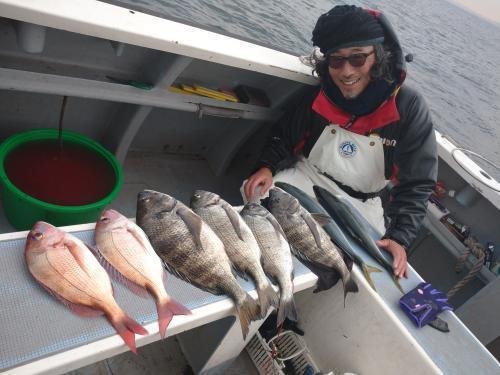 マダイ・クロダイ・イナダ(ブリ)