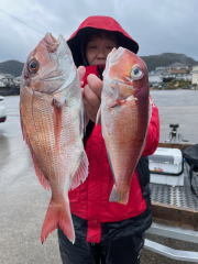 マダイ・アマダイ(アカアマダイ)