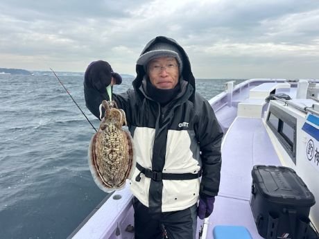 スミイカ(コウイカ)