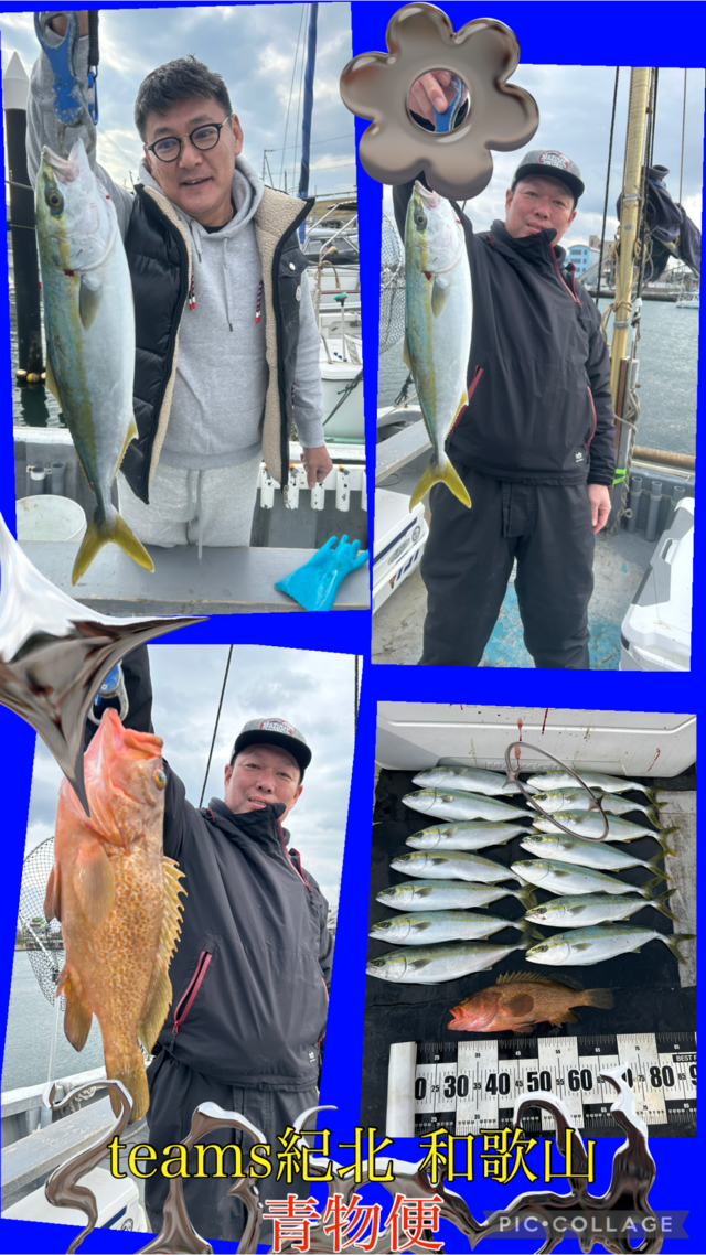 キジハタ・ハマチ(ブリ)