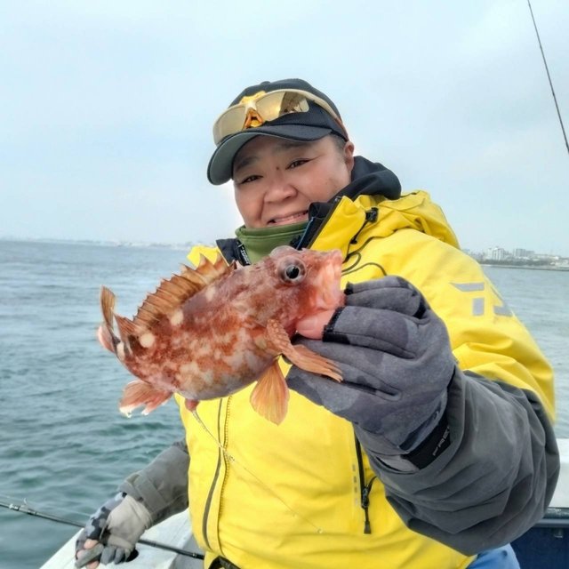 ガシラ(カサゴ)