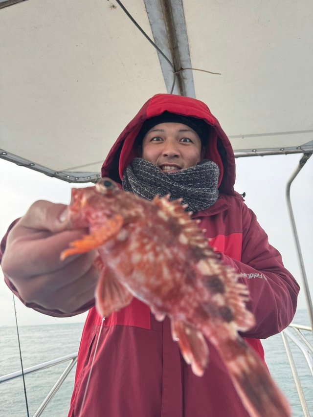 ガシラ(カサゴ)