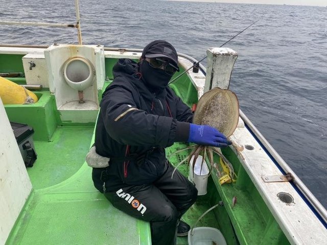 モンゴウ(カミナリイカ)