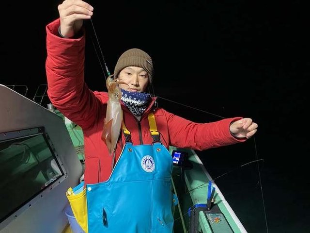 マルイカ(ケンサキイカ)