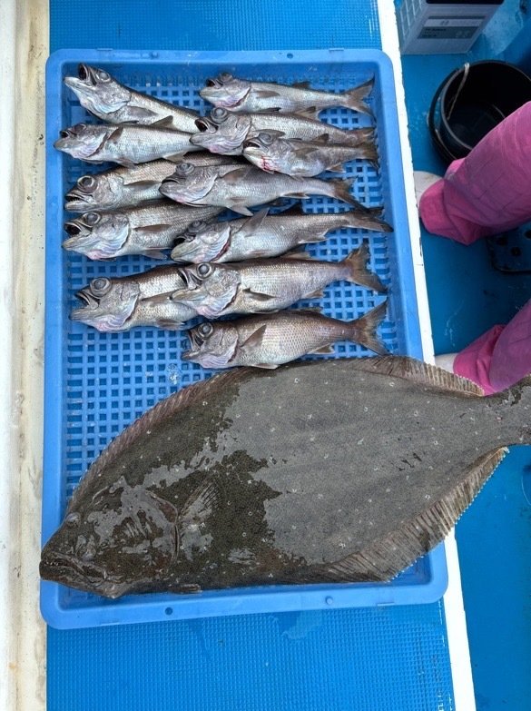 クロムツ・ヒラメ