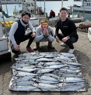 サゴシ(サワラ)