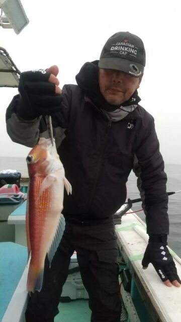 アマダイ(アカアマダイ)