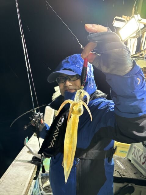 マイカ(ケンサキイカ)