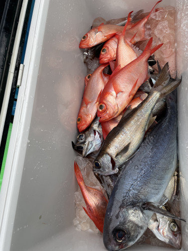 クロムツ・メダイ・キンメ(キンメダイ)・シロムツ(オオメハタ)