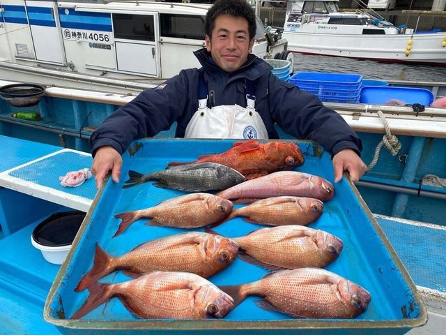 マダイ・ウッカリカサゴ