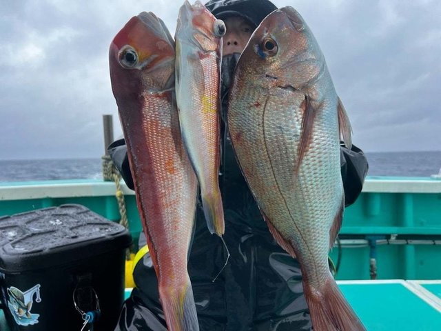 マダイ・アマダイ(アカアマダイ)