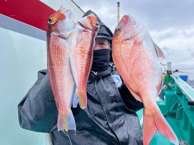 マダイ・アマダイ(アカアマダイ)