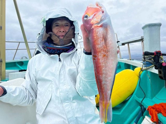 アマダイ(アカアマダイ)