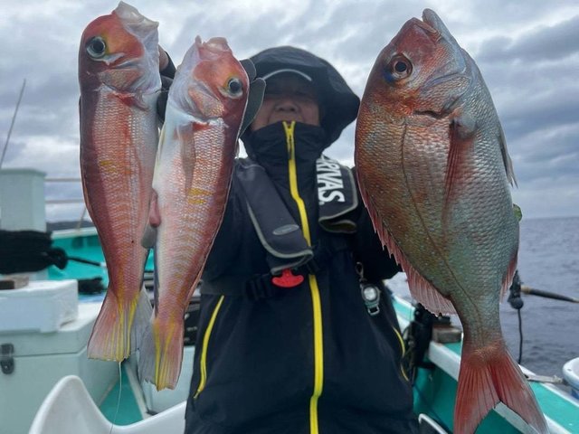 マダイ・アマダイ(アカアマダイ)