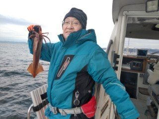 スルメ(スルメイカ)