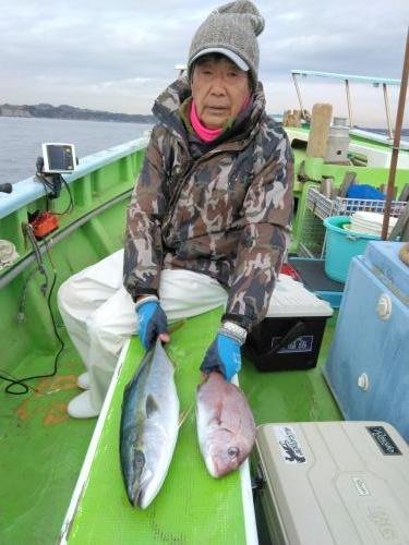 マダイ・ワラサ(ブリ)