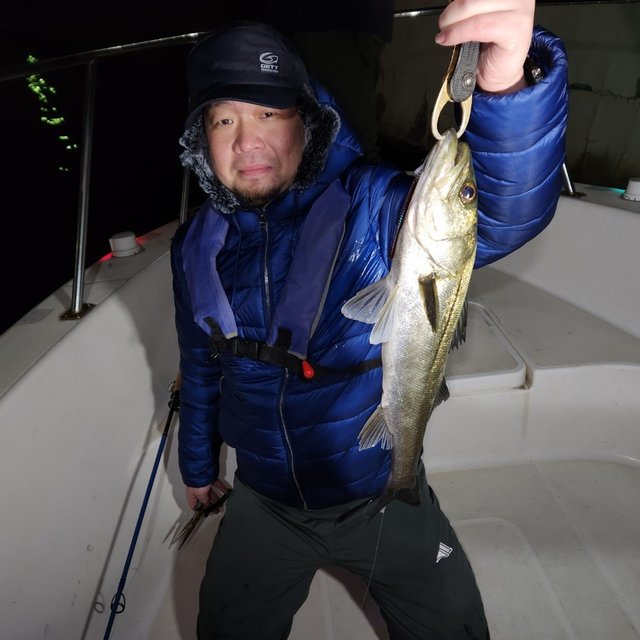 シーバス(スズキ)