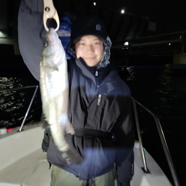 シーバス(スズキ)