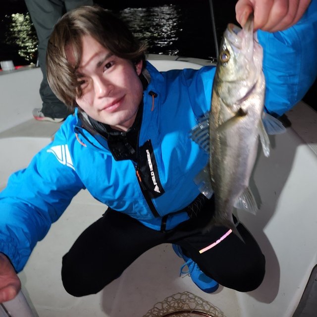 シーバス(スズキ)